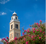 LSU Training Image 1